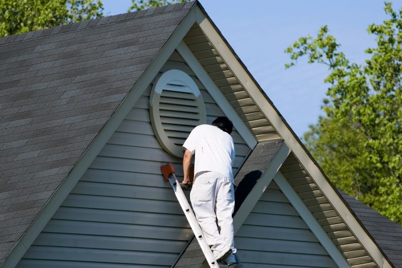 House Siding Painting