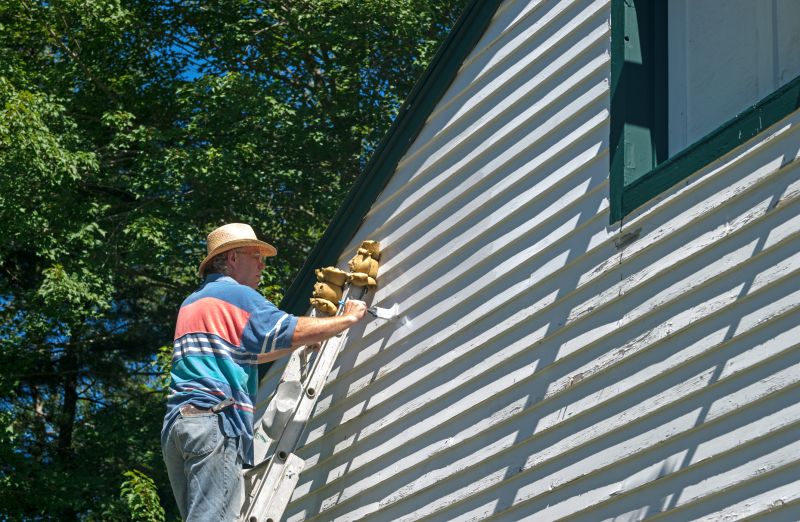 Products For House Siding Paintings in use